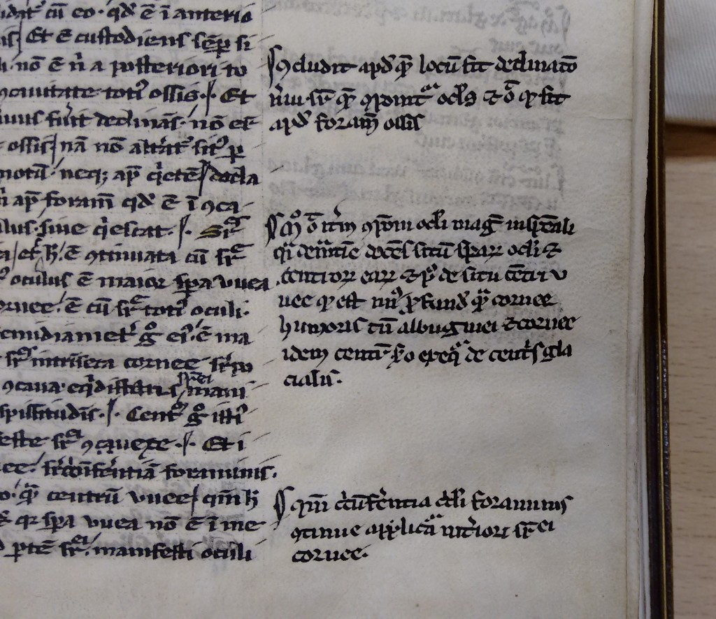Pilcrows in Alhazen [965-1040]: De aspectibus. (c. 1250)